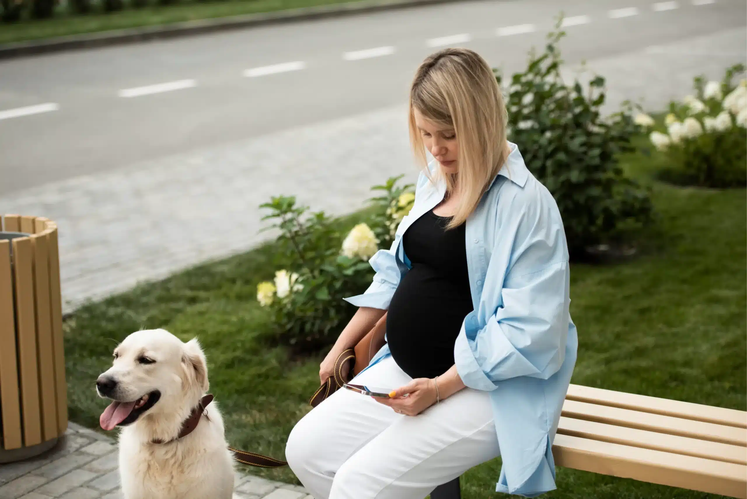 How to make money as a single mom by offering pet sitting and dog walking services