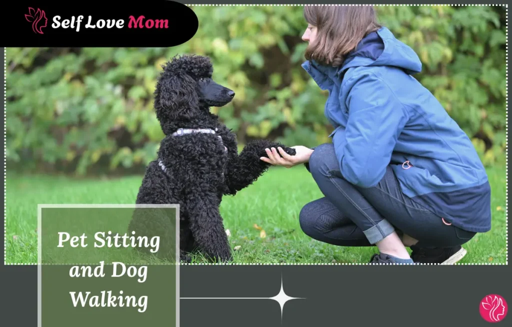 Pet sitting and dog walking job with a woman training and caring for a dog outdoors