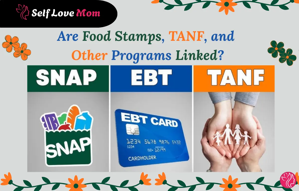 Are Food Stamps TANF and other programs linked image showing SNAP logo EBT card and TANF family assistance concept