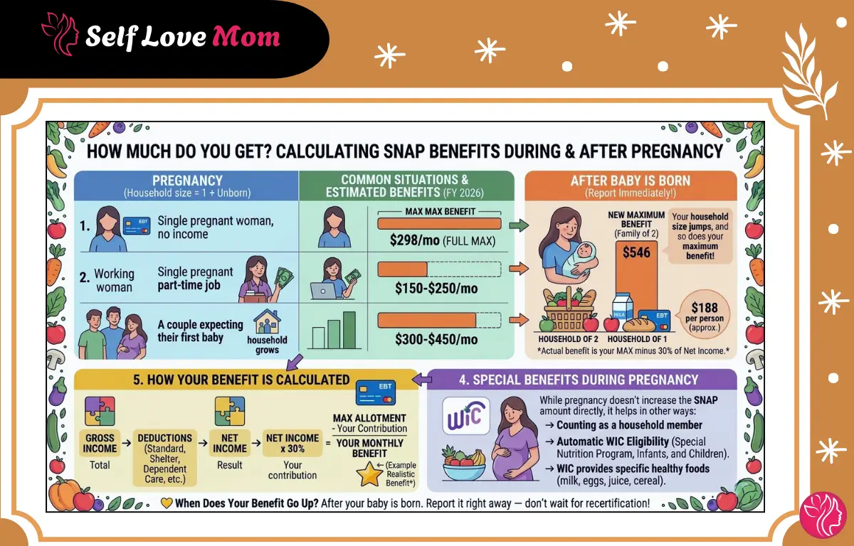 How much do you get? Guide to calculating SNAP benefits during and after pregnancy. Covers common situations, maximum benefits, and special benefits for pregnant women.