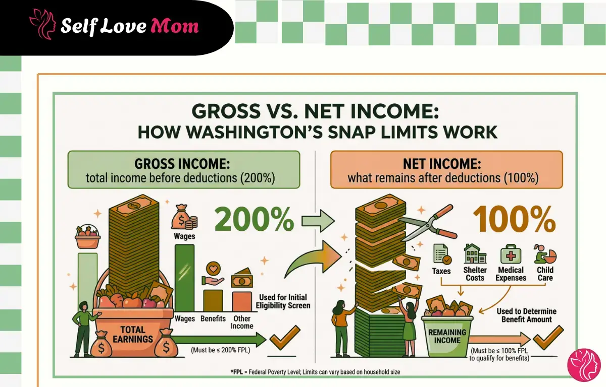 Infographic explaining gross vs net income limits for food stamps in Washington State — 200% FPL gross income threshold and 100% FPL net income limit for SNAP eligibility