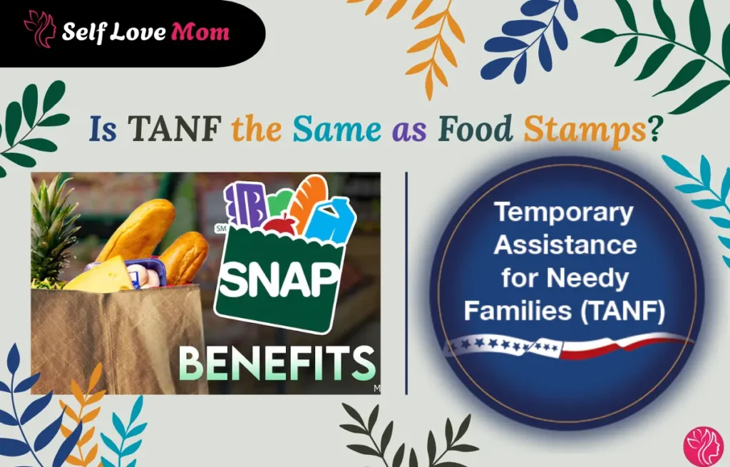Is TANF the Same as Food Stamps image showing SNAP benefits grocery bag and Temporary Assistance for Needy Families TANF logo comparison