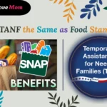 Is TANF the Same as Food Stamps? A Detailed Look at Both