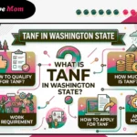 Infographic explaining TANF in Washington State 2026 covering how to qualify, how much you can receive, work requirements, and how to apply